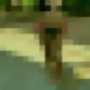 Charmante Delphine, 27 ans à Coux - découvrir son profil