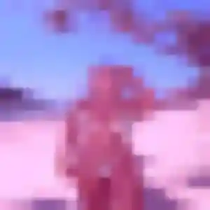 Photo sexy de Diary, 30 ans à Crédin - rencontre coquine