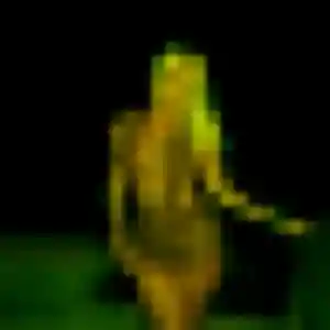 Profil de Audrey à Cresserons (22 ans) - rencontre adulte gratuit