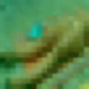 Diary de Crisolles, 42 ans - rencontre adulte sans lendemain