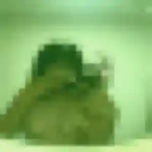 rencontre adulte à Crisolles : photo de Djeneba, 35 ans - accès libre