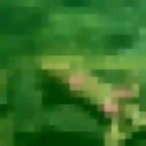 Photo exclusive de Héloïse, 27 ans à Crochte - rencontre sans lendemain