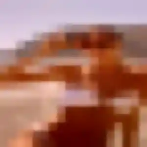 Contacte Ebele, 41 ans à Croismare gratuitement