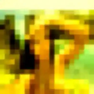 Precious, 38 ans, veut un rencontre adulte à Cruscades