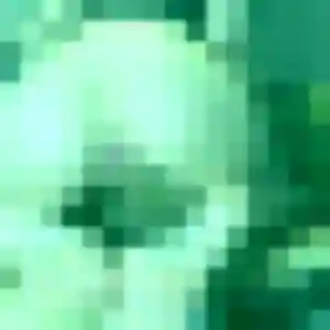 rencontre adulte à Cucuron : photo de Adjoua, 28 ans - inscription gratuite