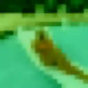 Shanna, femme de 38 ans propose rencontre adulte à Cuers