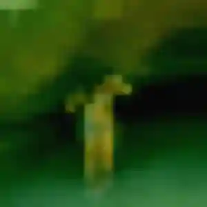 Belle Patricia, 41 ans à Cuinchy - la contacter