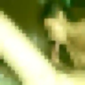 Charmante Efua, 19 ans à Cuvilly - la contacter