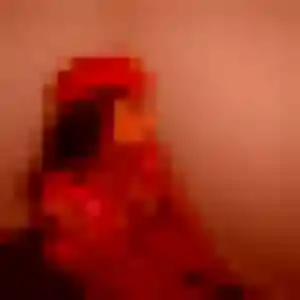 Découvre Hélène, 43 ans à Dabo en privé