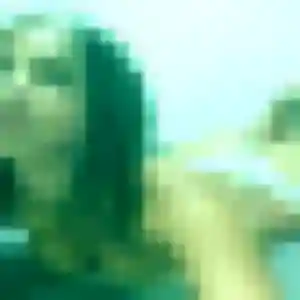 Photo sexy de Sixtine, 24 ans à Dampmart - plan discret