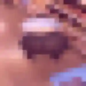 Photo de Joy à Dangy (36 ans) - rencontre adulte discret