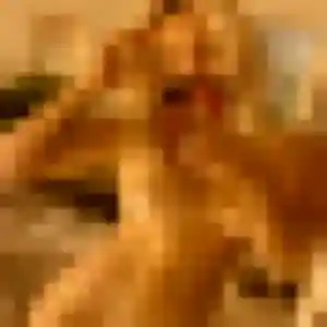 Binta (37 ans) à Deluz propose un rencontre adulte rapidement