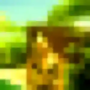 Roxane, 33 ans, dispo pour rencontre adulte à Demi-Quartier