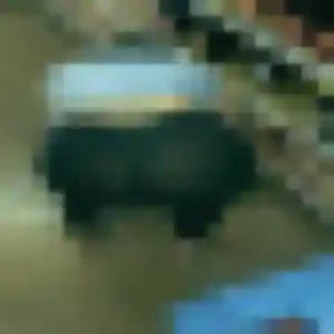 Gnima, 23 ans, cherche un rencontre adulte à Demigny