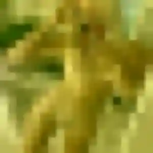Photo perso de Josiane, 32 ans à Dénat - rencontre coquine