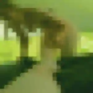 Photo privée de Félicité, 42 ans à Denée - plan discret