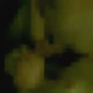 rencontre adulte à Denée : profil de Precious, 27 ans - inscription gratuite