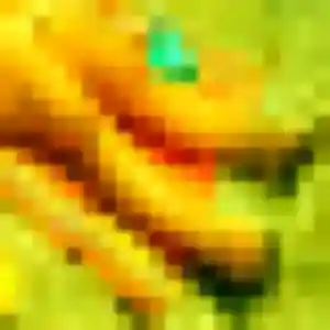 Wambui de Denicé, 19 ans - rencontre adulte sans lendemain