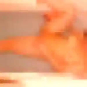 rencontre adulte à Diebolsheim : profil de Diane, 20 ans - accès libre