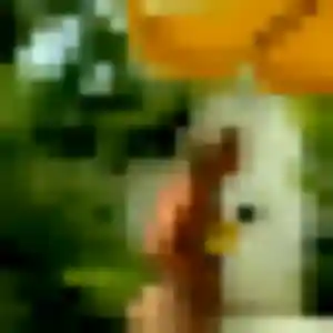 Rencontre Fanta, 35 ans à Dierre gratuitement