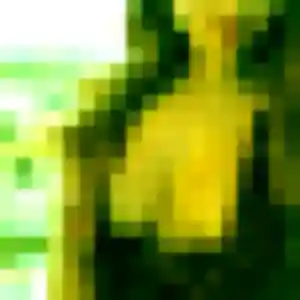 rencontre adulte à Dieulefit : profil de Aida, 37 ans - inscription gratuite