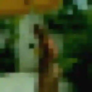 rencontre adulte à Dissay : profil de Fama, 19 ans - sans engagement