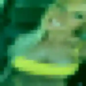 Sandy (36 ans) à Domjean cherche un rencontre adulte rapidement