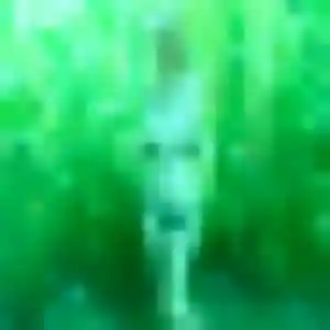 Charmante Jamila, 28 ans à Dompierre-les-Ormes - voir sa photo