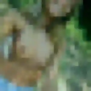 Muthoni de Donchery, 30 ans - rencontre adulte sans prise de tête