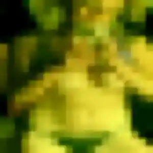 Profil de Victoire à Doue (36 ans) - rencontre adulte sans inscription