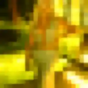 Photo exclusive de Nadia, 41 ans à Douelle - plan discret