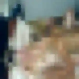 Rencontre Gisèle, 31 ans à Doussard en t'inscrivant
