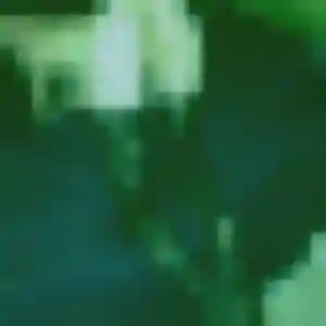 Photo privée de Mabinty, 32 ans à Douzens - rencontre sans lendemain