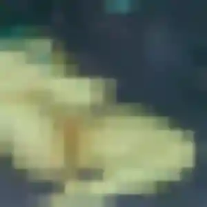 Rosalie (33 ans) à Ducos attend une rencontre ce soir