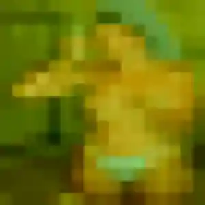 Belle Thaïs, 20 ans à Duneau - découvrir son profil