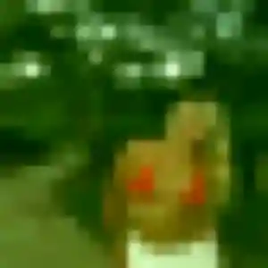 Codou, 34 ans, veut un rencontre adulte à Ebersheim