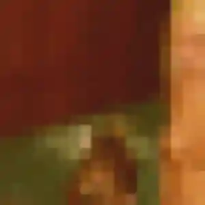 Rencontre Dado, 43 ans à Écaquelon en privé