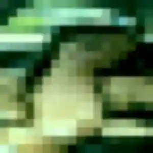 Belle Laetitia, 20 ans à Écharcon - la contacter