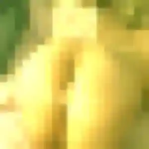 Amoin, 22 ans, disponible à Échirolles pour un rencontre adulte