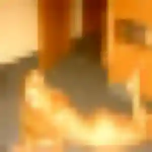 Photo de Déborah à Échirolles (27 ans) - rencontre adulte anonyme