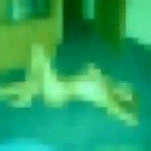 Photo privée de Célestine, 22 ans à Eckbolsheim - rencontre sans lendemain