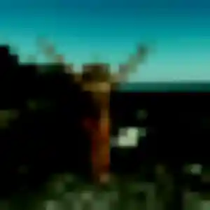 Photo perso de Ehui, 32 ans à Edern - rencontre sans lendemain