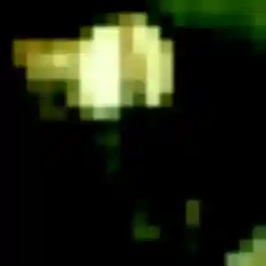 Amira, 29 ans, dispo pour rencontre adulte à Égly