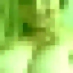 rencontre adulte à Elbeuf : profil de Nafi, 39 ans - accès libre