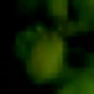 rencontre adulte à Elsenheim : photo de Daba, 33 ans - sans engagement