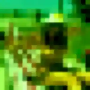 Photo de Éléonore à Englos (26 ans) - rencontre adulte sans inscription