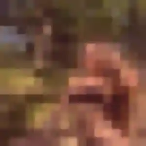 Photo perso de Gisèle, 32 ans à Entrange - rencontre coquine