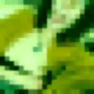 Héloïse, femme de 35 ans cherche rencontre adulte à Épieds