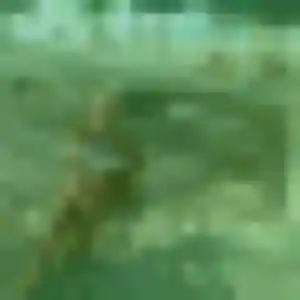 Wilda (25 ans) à Épinal attend un rencontre adulte maintenant