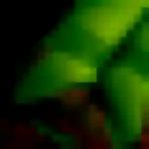 Solène, 21 ans, en ligne à Erstein pour une rencontre coquine